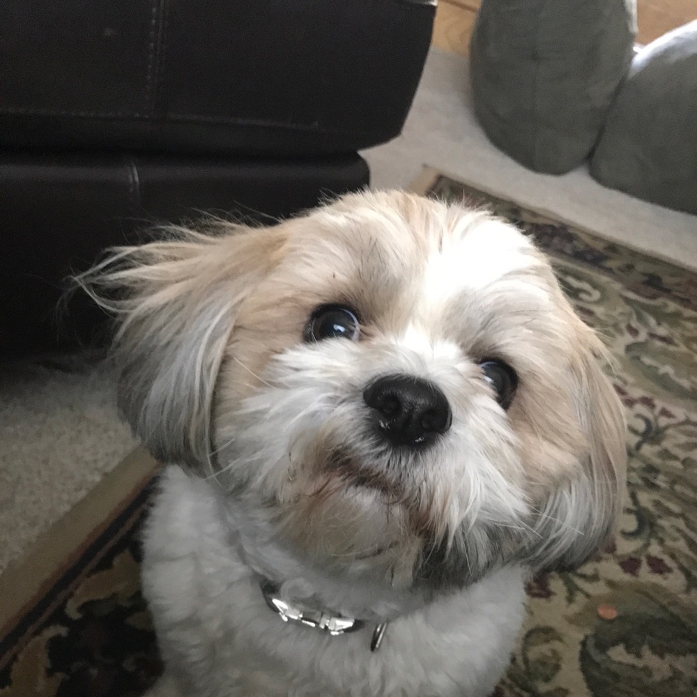 Meet your Posher, Tim